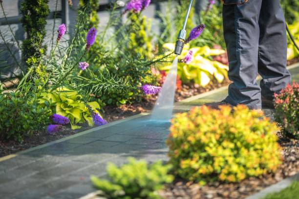 Best Pre-Holiday Cleaning  in Rpinteria, CA